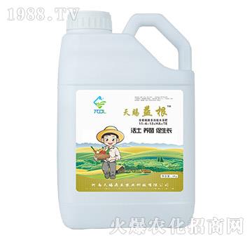 ����ֳ��๦��ˮ�ܷ�11-6-13+HA+TE-���n���-���n����