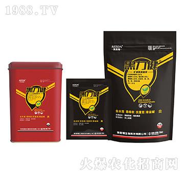 �VԴ�S�����-������-�W˹�D