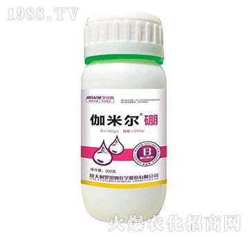 ٤�נ���-�_˼ķ-ľ�̼ь�