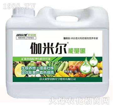 ٤�נ�������̼-ľ�̼ь�