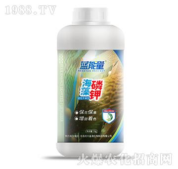 ������⛣�1kg��-�{(l��n)