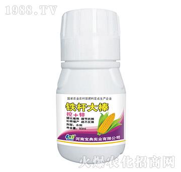 �F�U���-���䌍�I(y��)