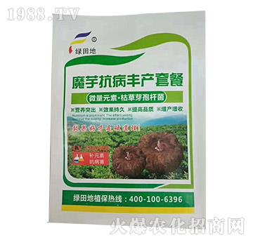 ħ�󿹲��S�a�ײ�-��