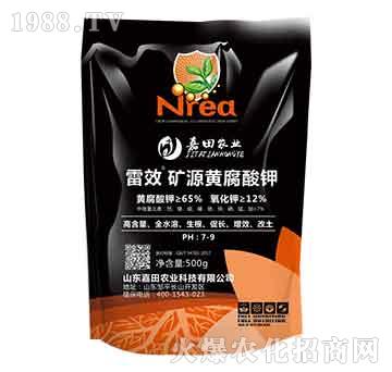 ��Ч�VԴ�S�����-�����r�I(y��)