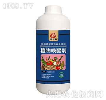 ֲ��ф���1000ml��-��֮��