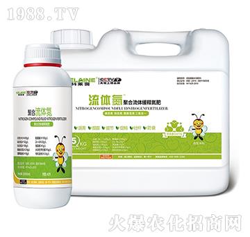 ���|(zh��)Ԫ�����w����-�ۺ����w��-�W���r(n��ng)�I(y��)