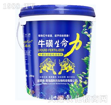 ţ��������-�@��Ԫ