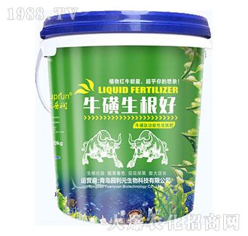 ţ��������-�@��Ԫ