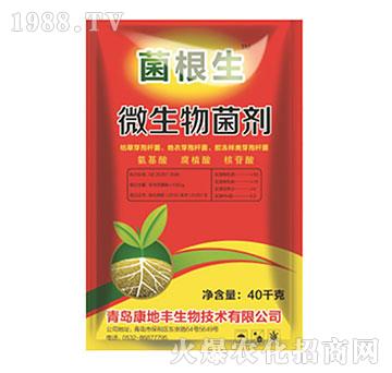 ΢�������-������-����