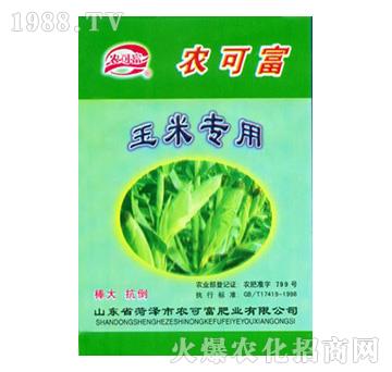 ���׌�(zhu��n)�÷�-�r(n��ng)�ɸ�