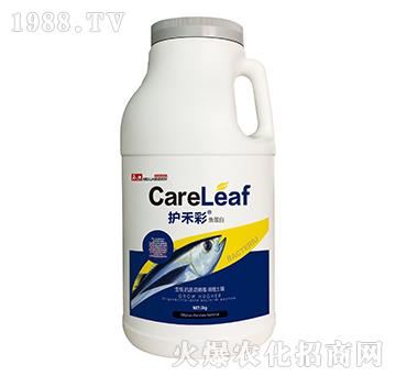 �~����-�o(h��)�̲�-������A