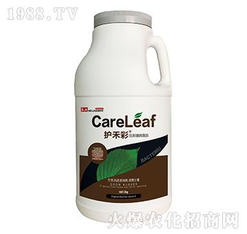 �;���ø����-�o(h��)�̲�-������A