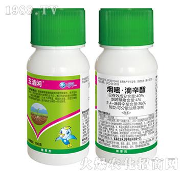 40%���ס�������-�����e-��������