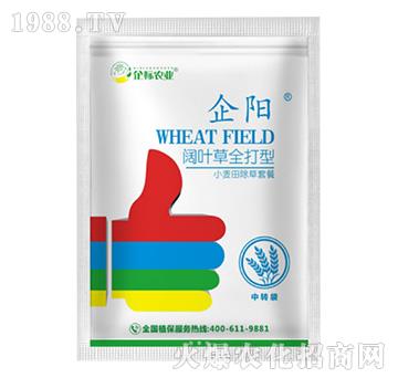 С������~�ݳ����ײ�-���-���(bi��o)