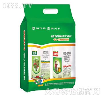 43%������+22���S������-��