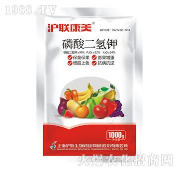 ��������-��(li��n)����-��(li��n)