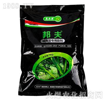 ����̦��������-���-Ӣ����