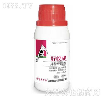 ��N��(zhu��n)����-���ճ�-�G��