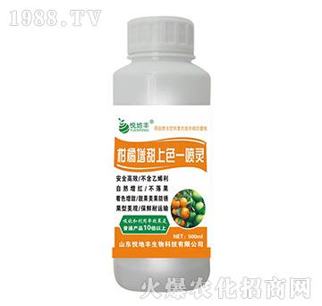 ����������ɫһ���`��500ml��-�����S
