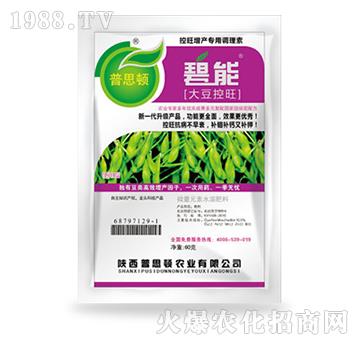 �󶹿�����-����-��˼�D�r(n��ng)�I(y��)