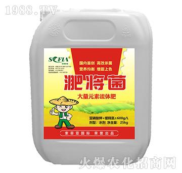 ����Ԫ�����w��-�ǌ���-���Ɓ�