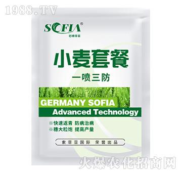 С���ײ�һ������-���Ɓ�