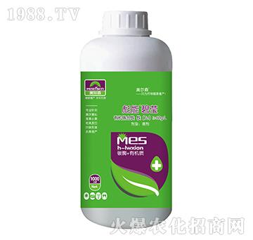 �ЙC�j���F-���ܱ̬�-