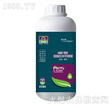 1000mlֲ�����Lƽ