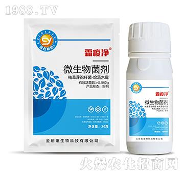 ΢�������-˪�߃�-���