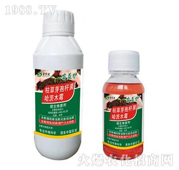 微生物菌劑-苗益護-拜迪斯