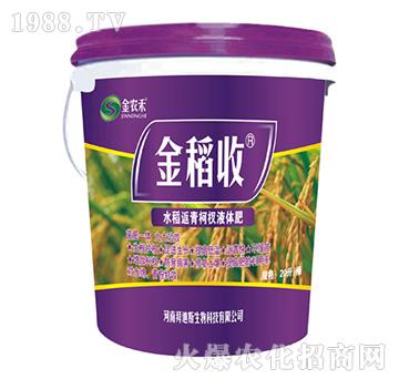 水稻返青柯杈肥液肥-金稻收-拜迪斯