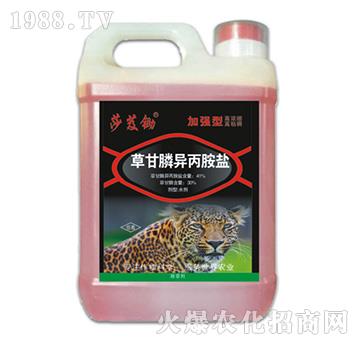 41%草甘膦異丙胺鹽（加強(qiáng)型）-莎芨鋤-拜迪斯