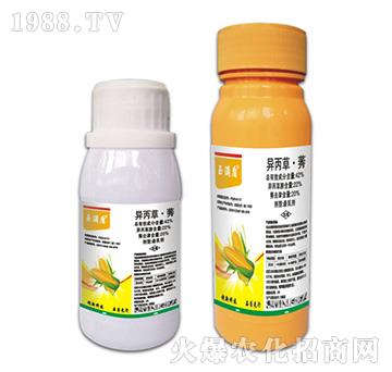 42%�����ݡ�ݬ-��M��-�ݵ�˹