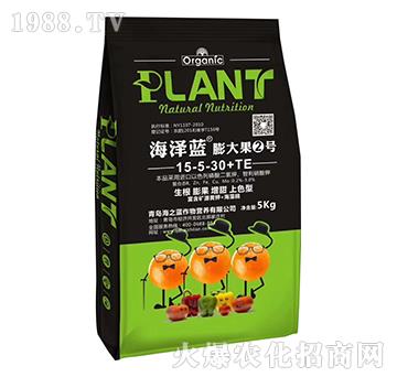 膨大果2號(hào)-海澤藍(lán)-海之藍(lán)