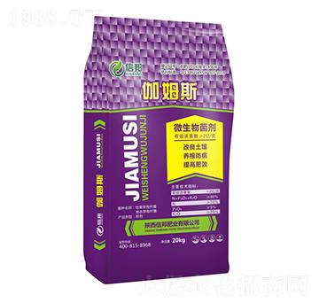 20kg΢�������-٤ķ˹-�Ű�ʘI(y��)