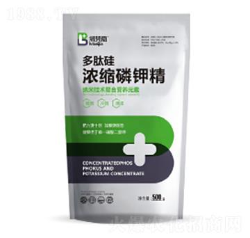 ���Ĺ��s��⛾�-���_(d��)