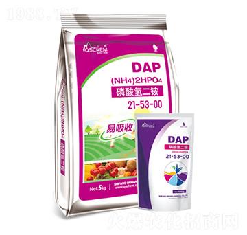 �������@-�ɽ����