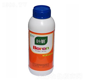 �ЙC���-�~��-ïʩ��