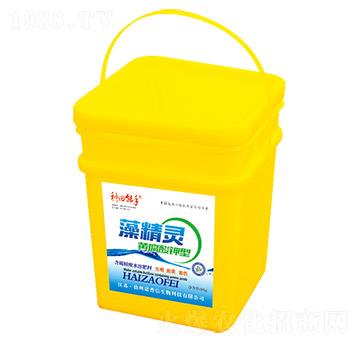 �S�������-�徫�`-�Z����