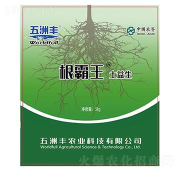 ��������ˮ�ܷ�-������