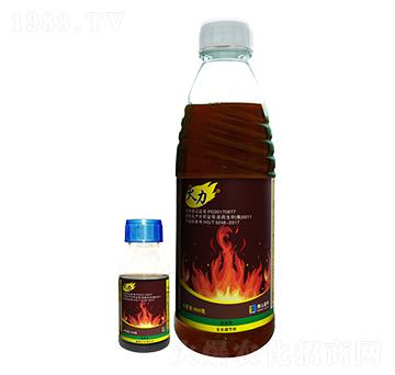 20%���ݿ�-����-ӯ�x