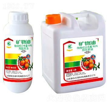 �V��������-��������