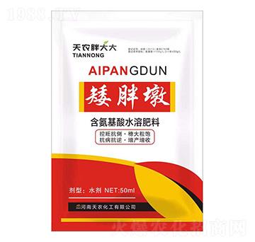 ���ֶ�-���r(n��ng)�ִ��-���r(n��ng)����