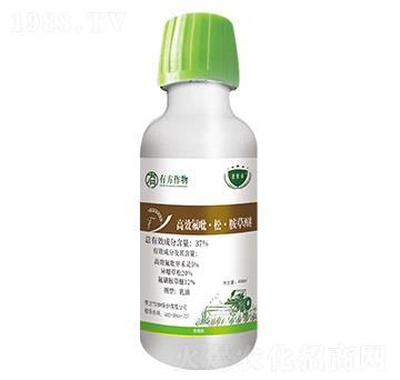 37%��Ч�������ɡ�������-�з�����