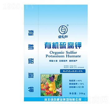 �ЙC���-�G�L(f��ng)95-�G�L(f��ng)�ʘI(y��)