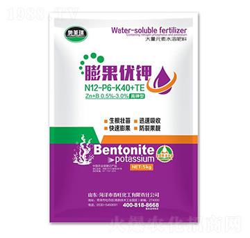 �����(y��u)�12-6-40+TE-�W����-��������