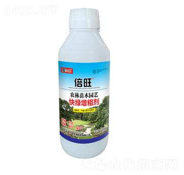 ��G���ք�-����-��һ