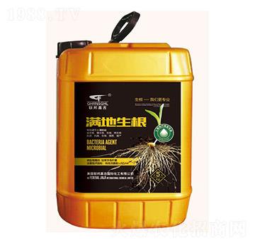 滿地生根-聯(lián)邦嘉吉