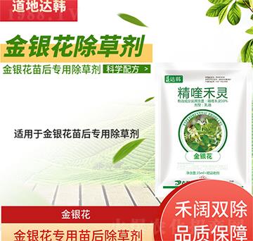 ���y�����݄�-���y����