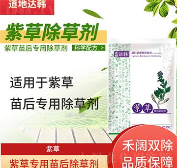 �ϲݳ��݄�-�ϲ����-